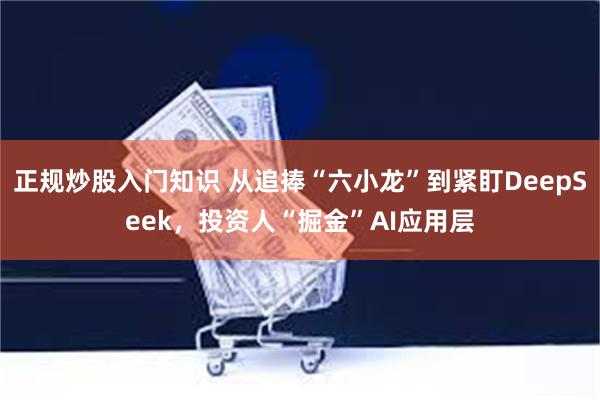 正规炒股入门知识 从追捧“六小龙”到紧盯DeepSeek，投资人“掘金”AI应用层