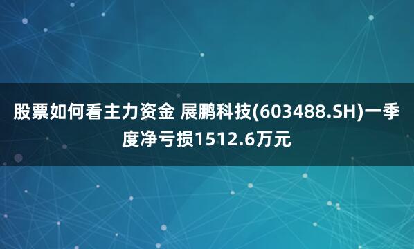 股票如何看主力资金 展鹏科技(603488.SH)一季度净亏损1512.6万元