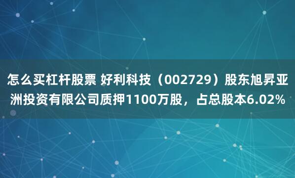 怎么买杠杆股票 好利科技（002729）股东旭昇亚洲投资有限公司质押1100万股，占总股本6.02%