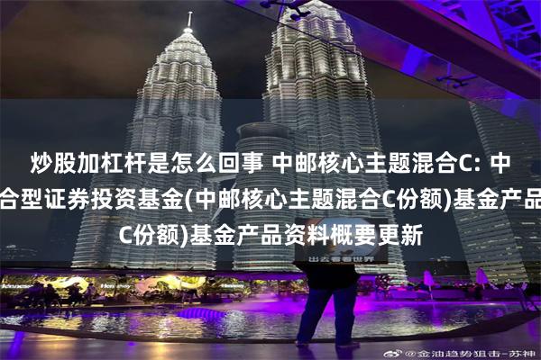 炒股加杠杆是怎么回事 中邮核心主题混合C: 中邮核心主题混合型证券投资基金(中邮核心主题混合C份额)基金产品资料概要更新