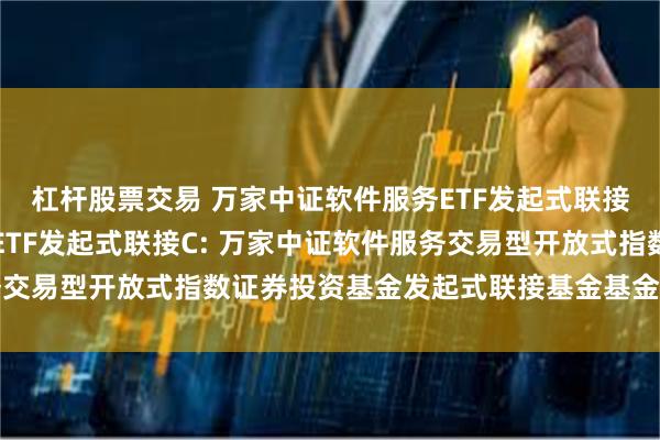 杠杆股票交易 万家中证软件服务ETF发起式联接A,万家中证软件服务ETF发起式联接C: 万家中证软件服务交易型开放式指数证券投资基金发起式联接基金基金经理变更公告