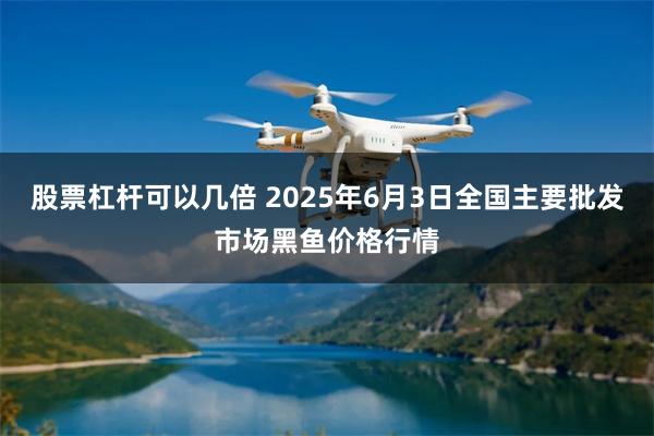 股票杠杆可以几倍 2025年6月3日全国主要批发市场黑鱼价格行情