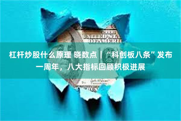 杠杆炒股什么原理 晓数点｜“科创板八条”发布一周年，八大指标回顾积极进展