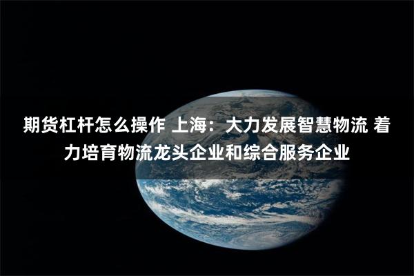 期货杠杆怎么操作 上海：大力发展智慧物流 着力培育物流龙头企业和综合服务企业