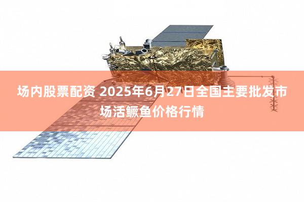 场内股票配资 2025年6月27日全国主要批发市场活鳜鱼价格行情